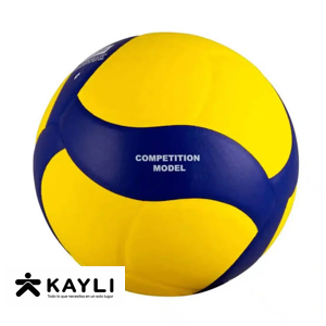 PELOTA VOLEY CUERO COSIDO ZBASH #5 foto 2